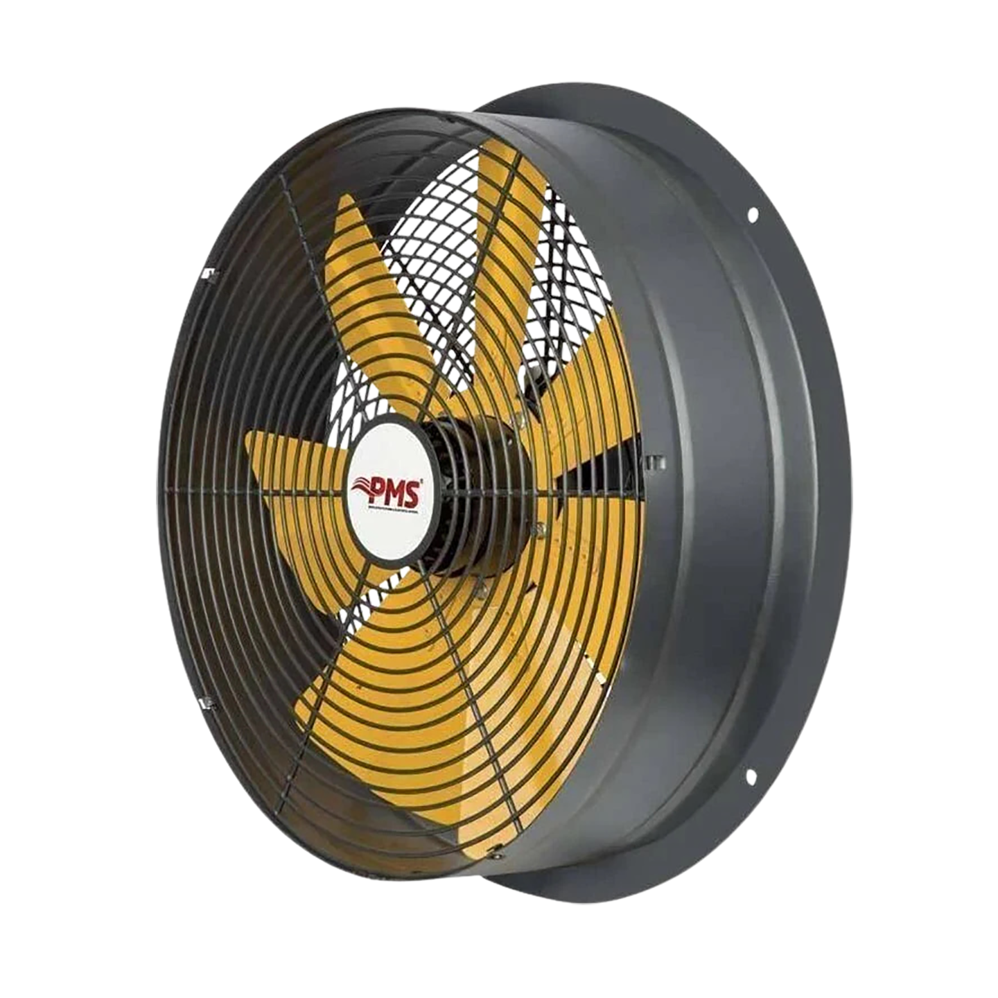 PMS PSM-XL 250-Y02/34 (1250m³/h) Sanayi Aspiratörü 220V