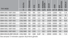 BVN BSM 250 (1200m³/h) Sanayi Aspiratörü 220V